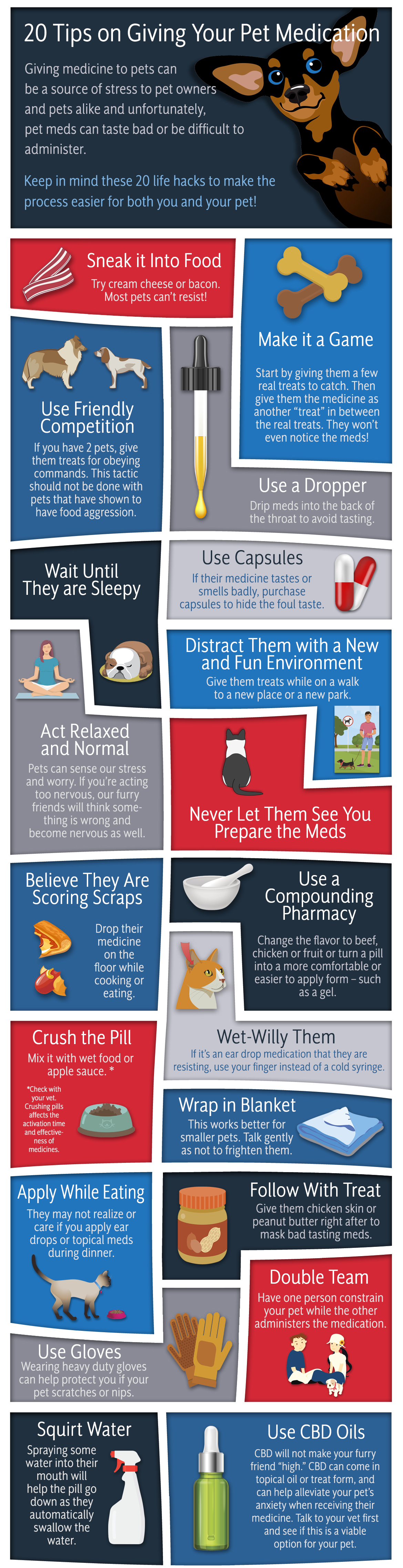 Pet Medication Tips