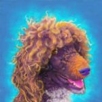 Parti Poodle - custom Portrait