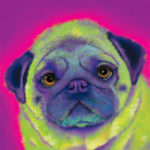 Pug Custom Painting