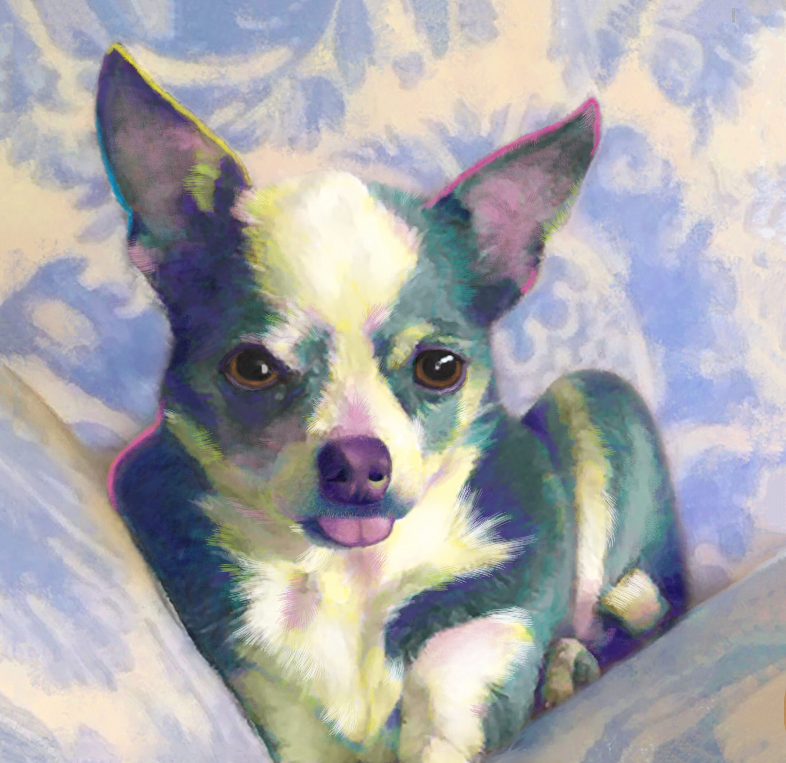 Chihuahua custom Portrait