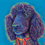 Poodle Custom Painting