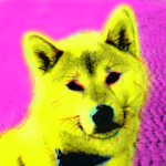 Shiba Inu Pop Art Warhol