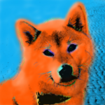 Shiba Inu Portrait