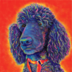 Poodle Digital Custom Painting