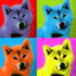 Shiba-Inu-Pop-Portrait