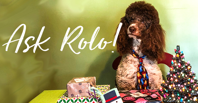 Poodle with Christmas Presents