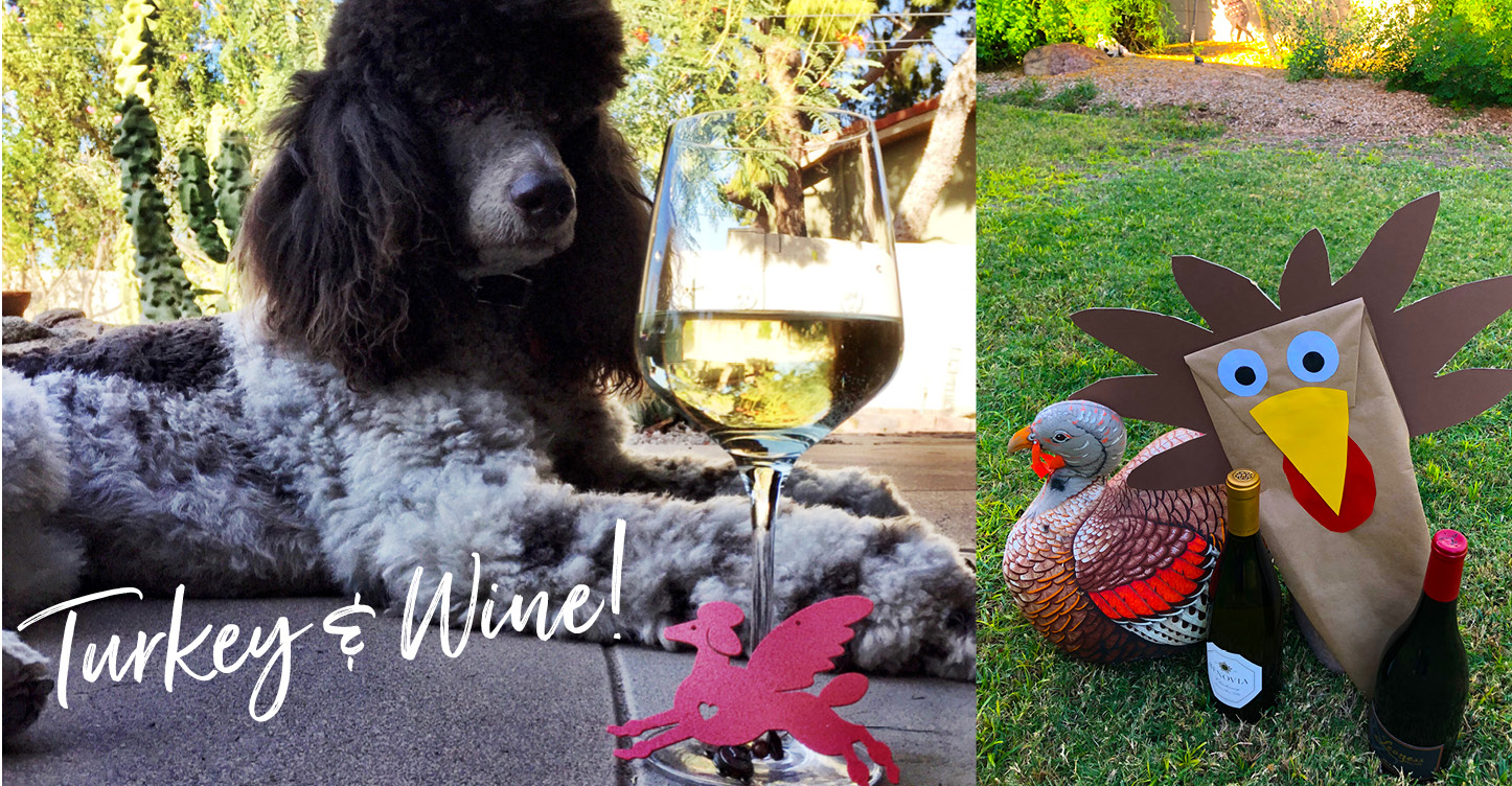 Wine Suggestion photo with Poodle